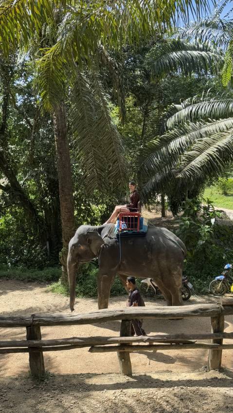 Екатерина Тарбеева