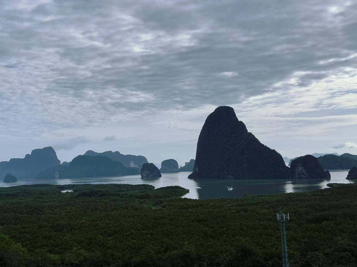 Екатерина Тарбеева