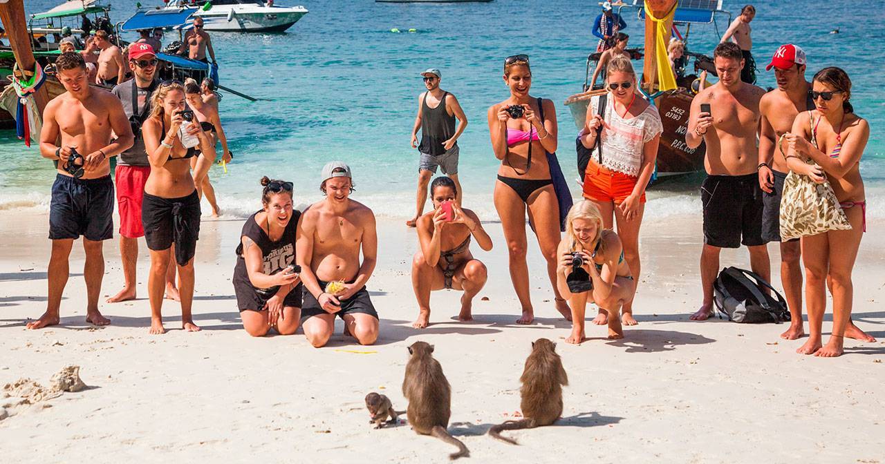 Туристы фотографируют и кормят обезьян